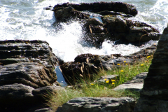 Bloody-Bridge-Coast-4